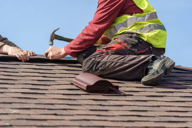 Best Roof Repair Services  in Shenandoah, VA