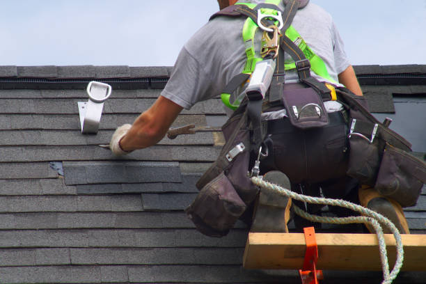 Best Metal Roofing Contractor  in Shenandoah, VA