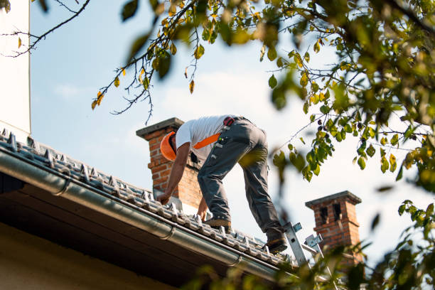 Best Residential Roofing Contractor  in Shenandoah, VA