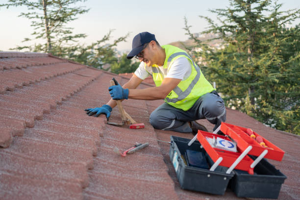 Quick and Trustworthy Emergency Roof Repair Services in Shenandoah, VA
