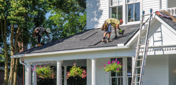 Best Gutter Installation and Roofing  in Shenandoah, VA