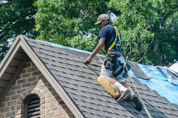 Best Residential Roofing Contractor  in Shenandoah, VA